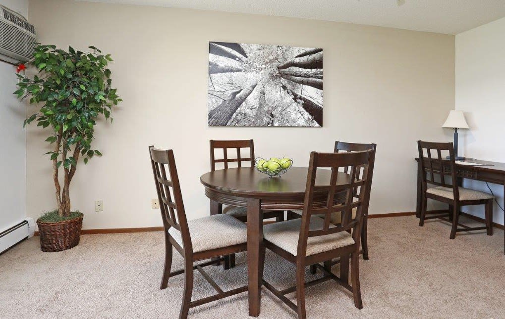 Photos and Video of Tylia Apartments in Maple Grove, MN